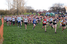 Cross country running scene