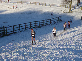 Harrier League community